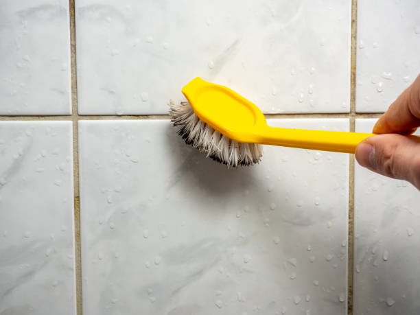 Best Mold Testing  in Portola, CA